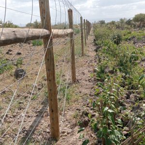 Solar Powered Electric Game Fence 