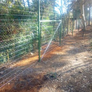 Game Electric Fence