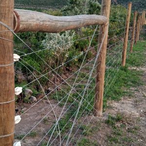 Chain Link Fence 