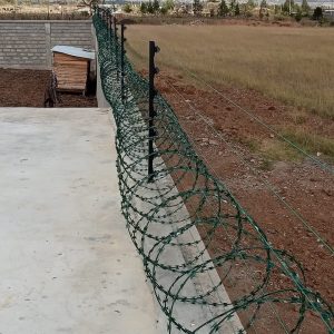 Electric Perimeter Wall Fence