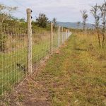 Fenken fencing