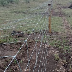 Game Electric Fencing 