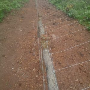 Solar Powered Electric Game Fence 