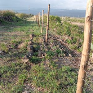 Solar Powered Electric Fence 