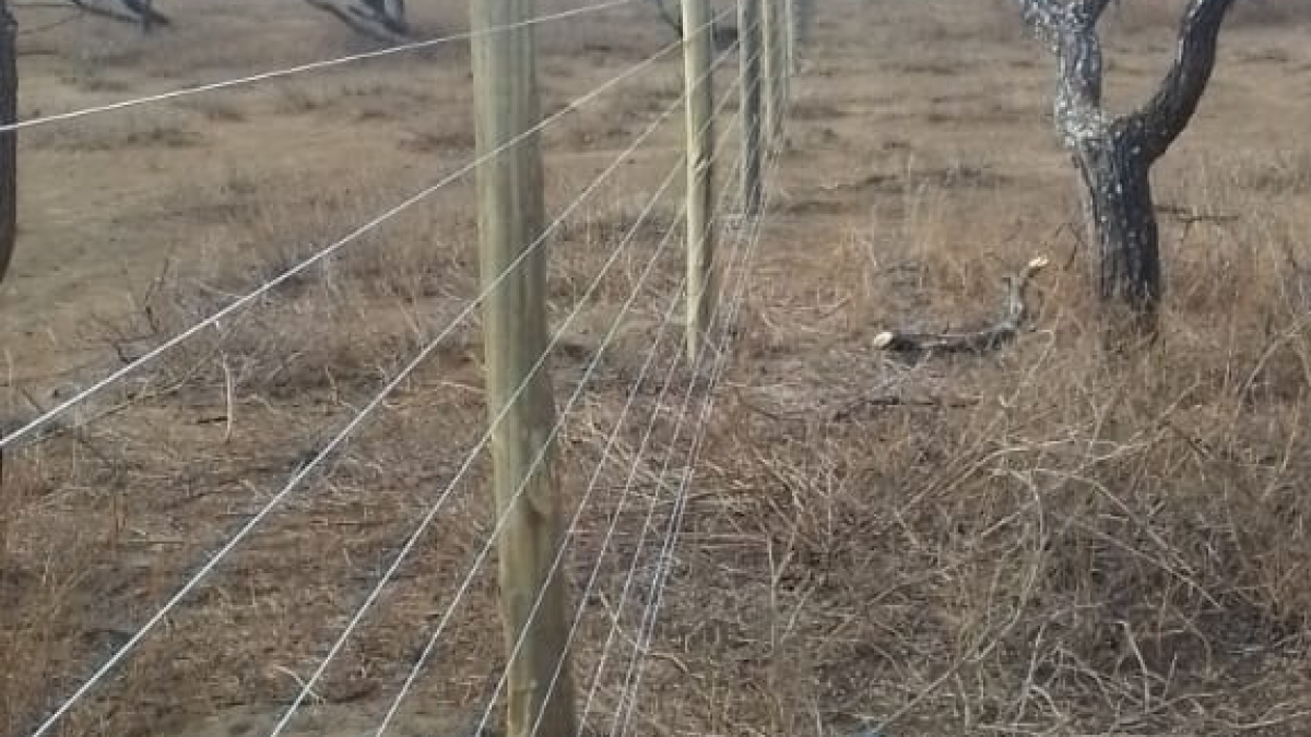 Security and Efficiency