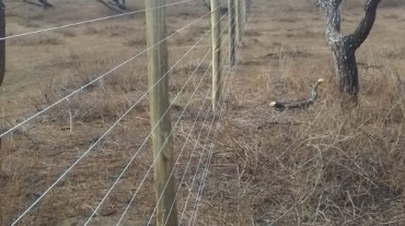 Security and Efficiency