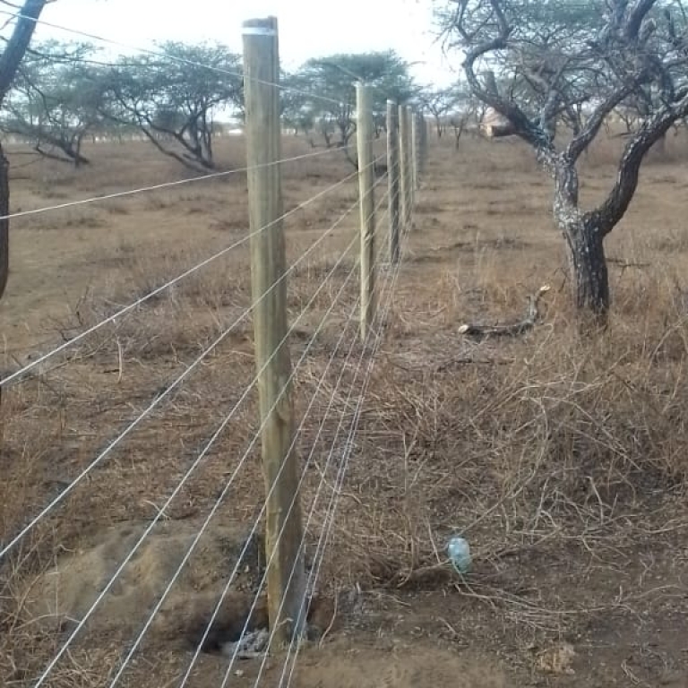 Security and Efficiency