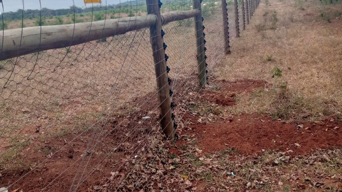 Standard Electric Fencing 2