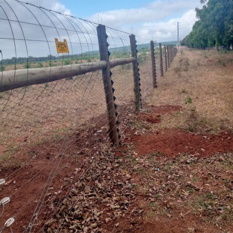 Standard Electric Fencing 2